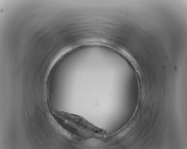 X0000080671384200612301349