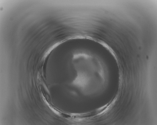 X0000080671385200612301349