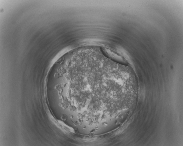 X0000080671386200612301349