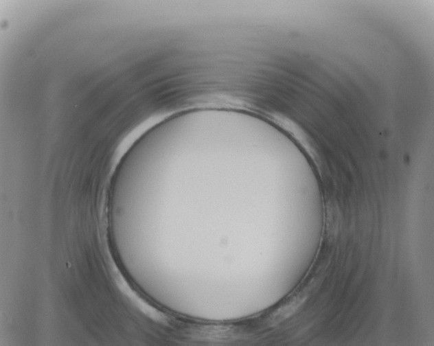 X0000080671387200612301349