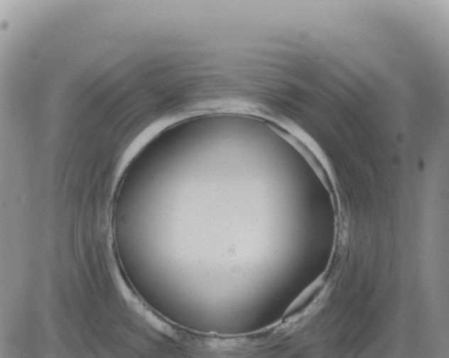 X0000080671389200612301349