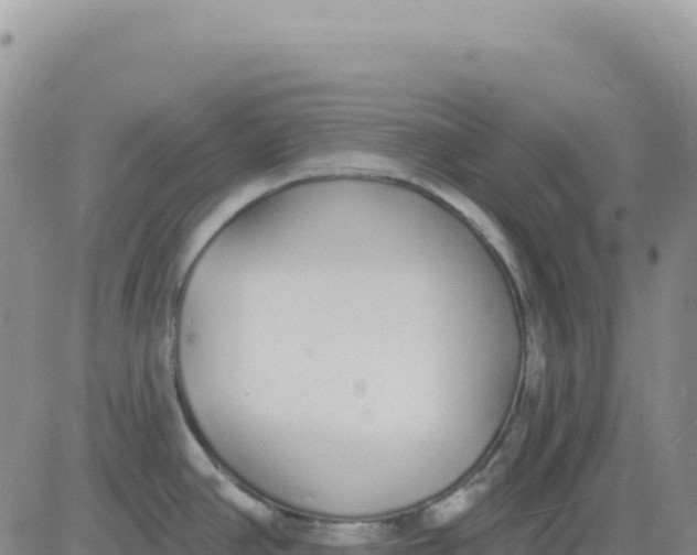 X0000080671390200612301349