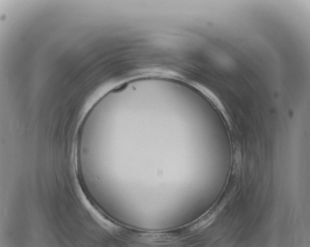 X0000080671391200612301349