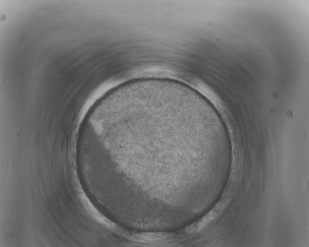 X0000080671392200612301349