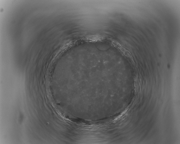 X0000080671393200612301348