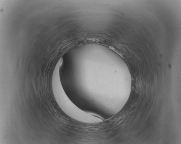 X0000080671394200612301348