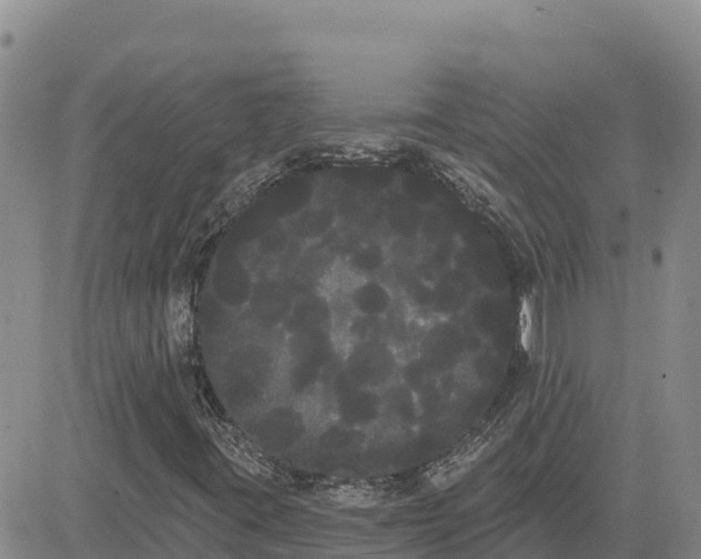 X0000080671395200612301348