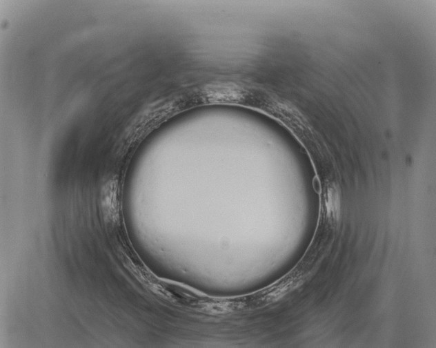 X0000080671396200612301348