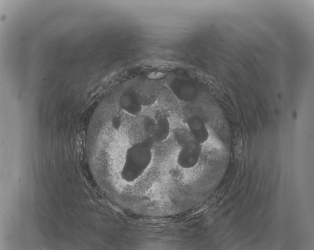 X0000080671397200612301348