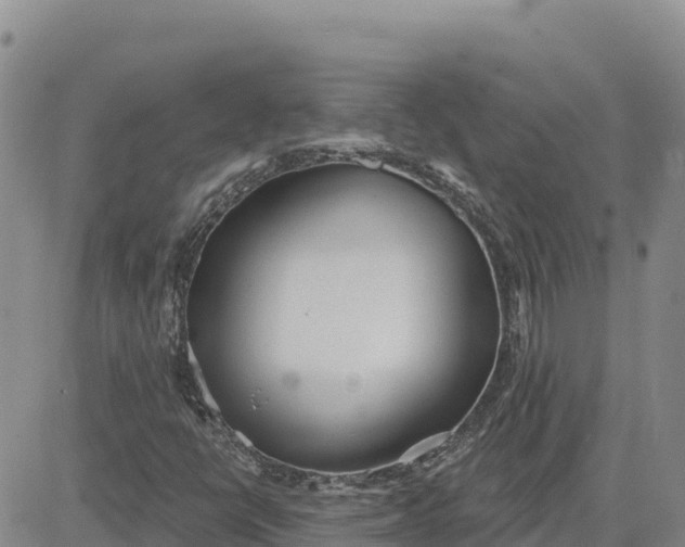 X0000080671398200612301348