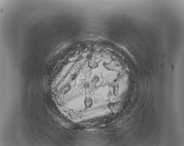 X0000080671399200612301348