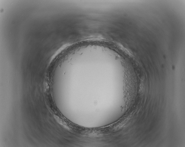 X0000080671400200612301348