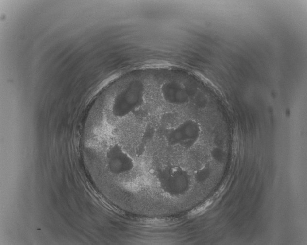 X0000080671401200612301348