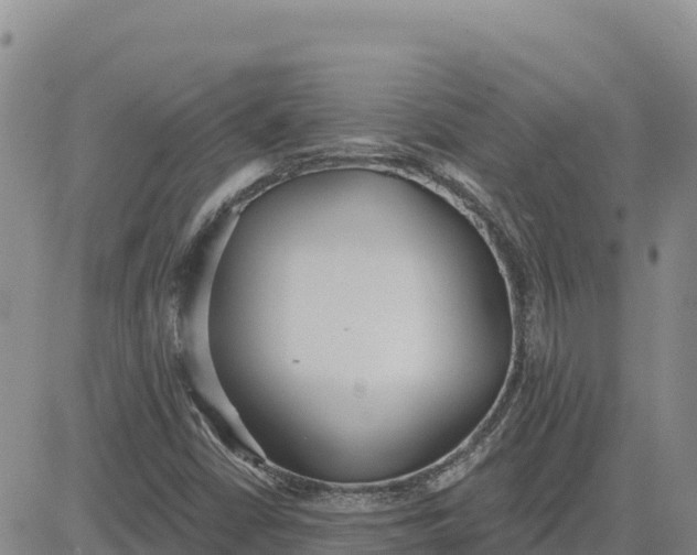 X0000080671402200612301348