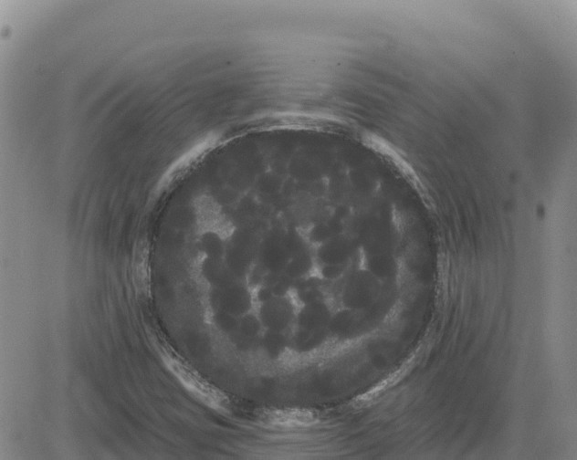 X0000080671403200612301348