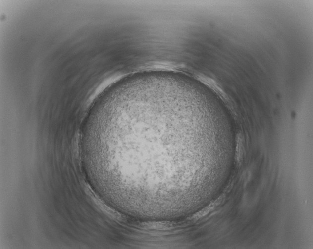 X0000080671404200612301348