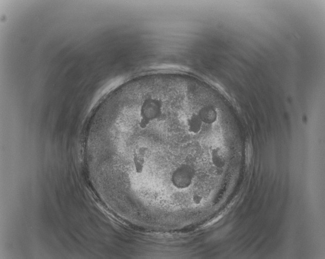 X0000080671405200612301348