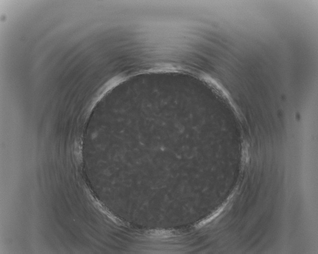 X0000080671409200612301348