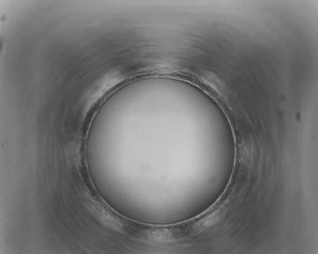 X0000080671410200612301349