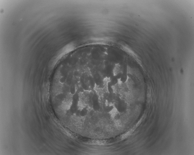 X0000080671411200612301349