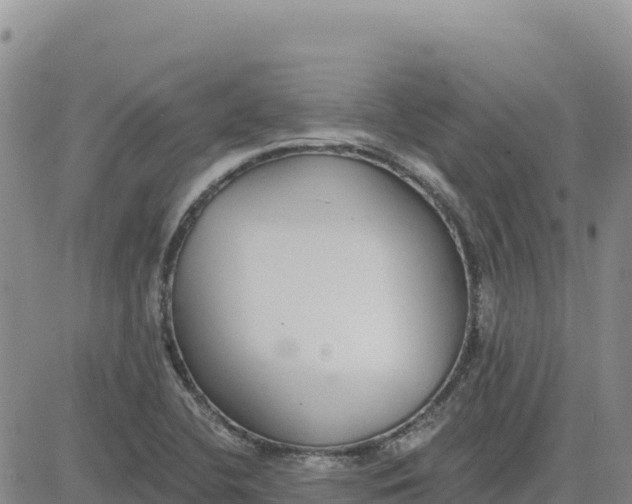 X0000080671412200612301349