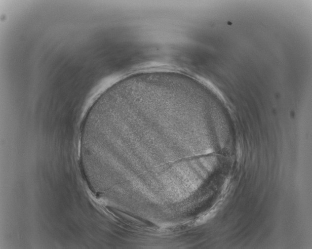 X0000080671413200612301349