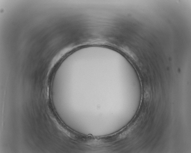 X0000080671414200612301349