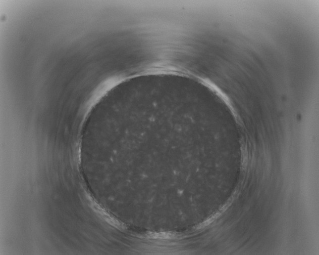 X0000080671415200612301349