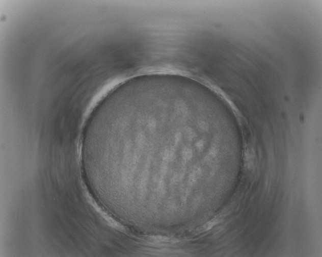 X0000080671416200612301349