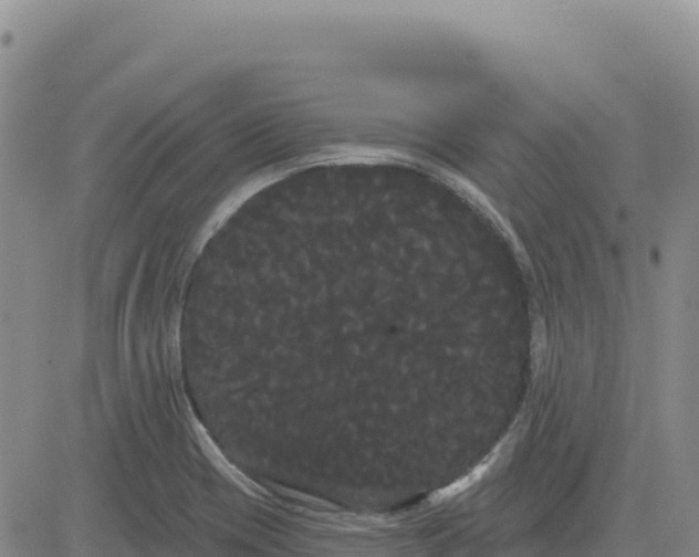 X0000080671417200612301349