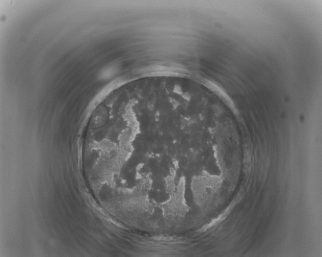 X0000080671419200612301349