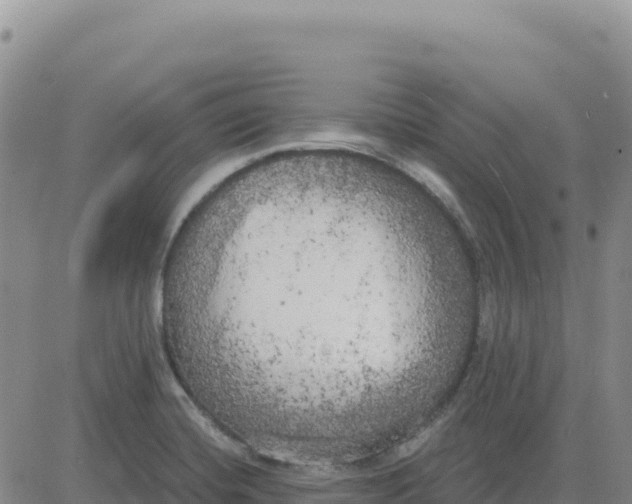 X0000080671420200612301349