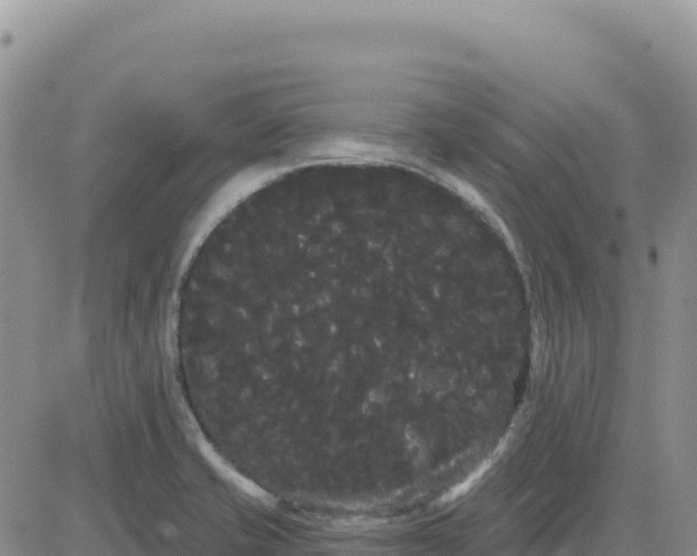 X0000080671421200612301349