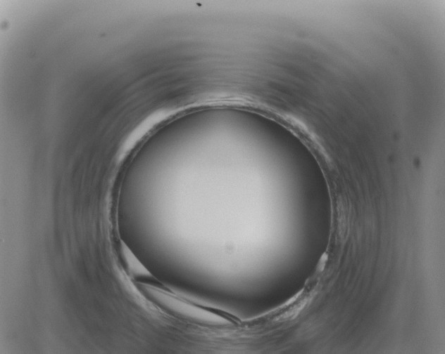 X0000080671422200612301349