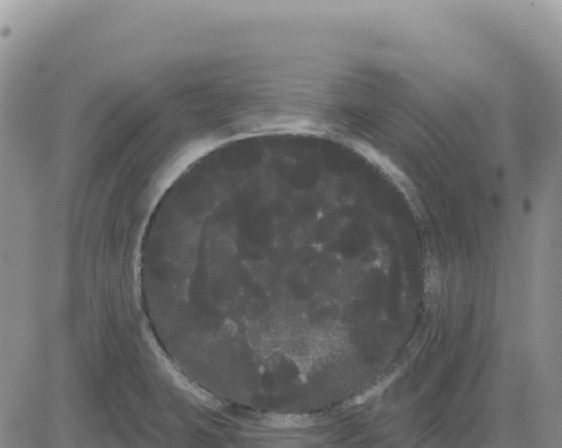 X0000080671423200612301349