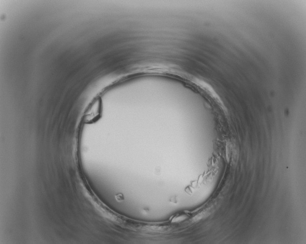 X0000080671424200612301349