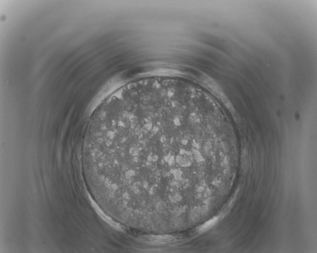 X0000080671425200612301349