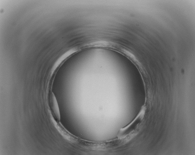 X0000080671426200612301349