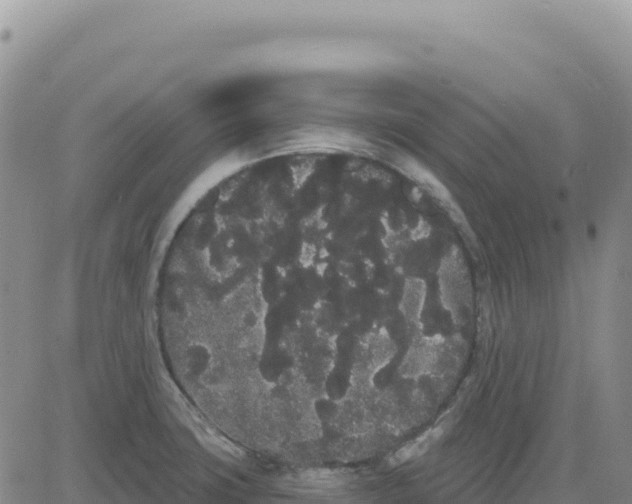 X0000080671427200612301349