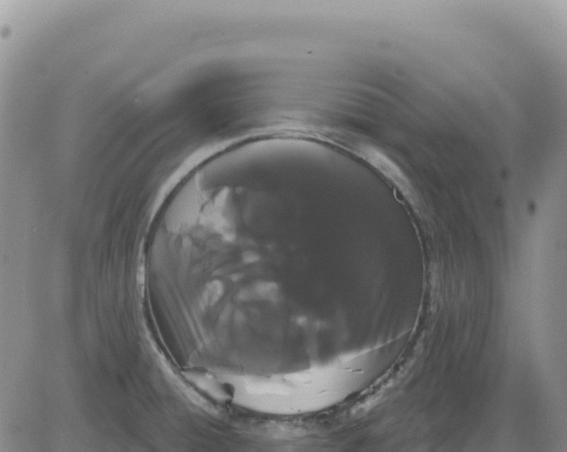 X0000080671428200612301349