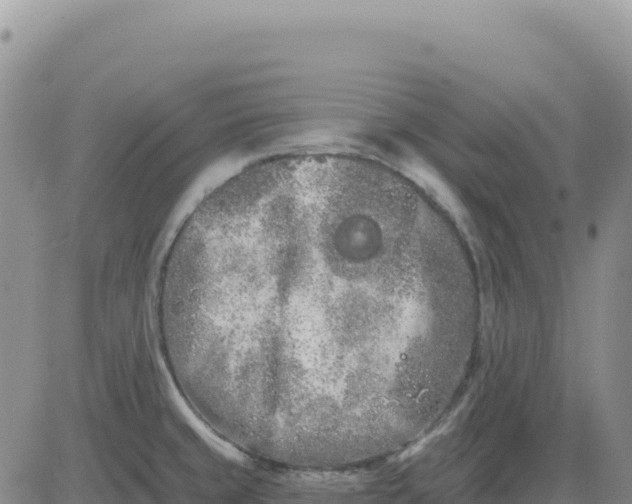 X0000080671429200612301349