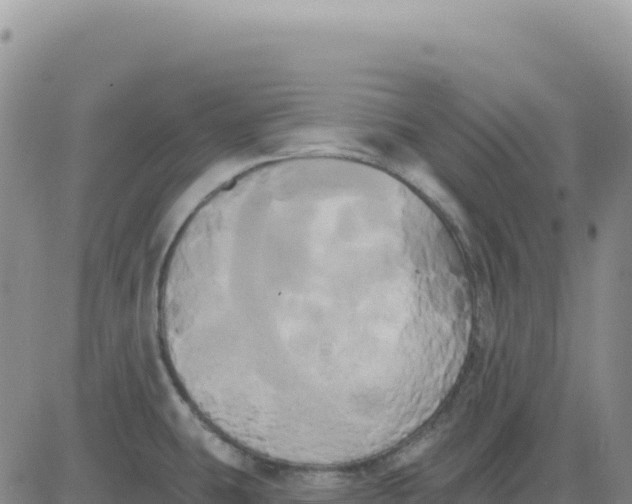 X0000080671431200612301349