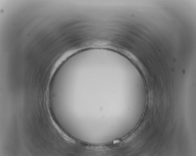 X0000080671432200612301349