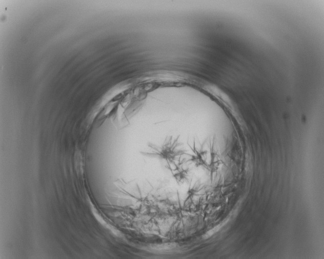 X0000080671433200612301349