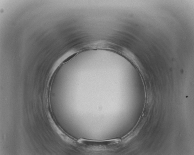 X0000080671434200612301349