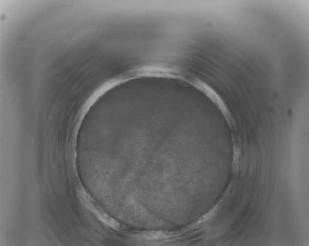 X0000080671435200612301349