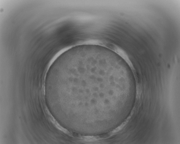 X0000080671436200612301349