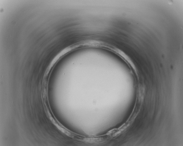 X0000080671437200612301349