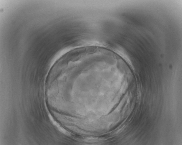 X0000080671439200612301349