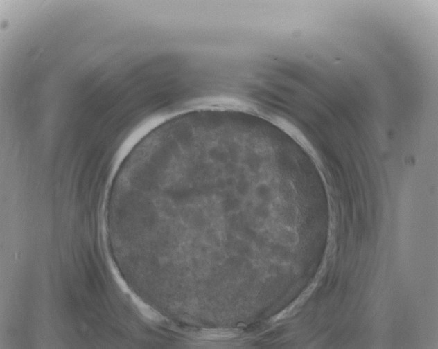 X0000080671440200612301349